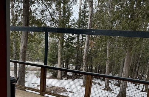 Greenville Cabaña | Delightful cottage 1 mile from downtown Greenville!