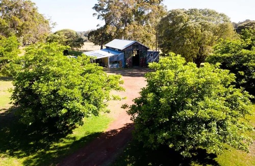 Rosa Brook Otro | Moonrise Farm