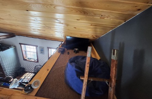 Dolgeville Cabina | COZY cabin in Adirondacks, view of the Millyway . Feel the stress melt away