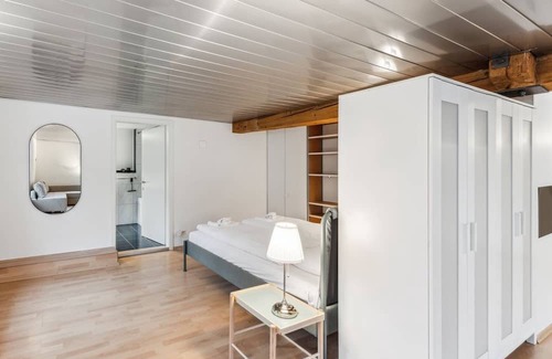 Dietikon District Apartamento | Cozy Studio Charm Sum