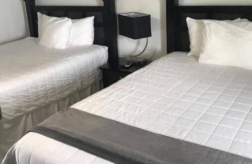 Jimmy Hill Apartamento | Flamingo suite Ocean Front Exuma Palms Resort!