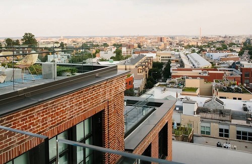 Adams Morgan Casa | Pet-Friendly Oasis, Arts & Comfort, DC Retreat for All, 4 Relaxing Units!