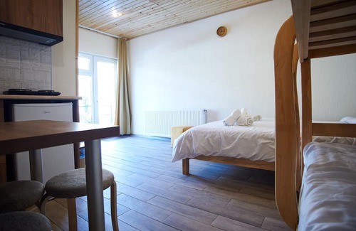 Kazbegi Apartamento | Tornisa kazbegi