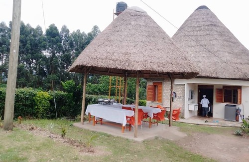 Western Region Otro | White Cat Farm Hut Inn is nestled on the outskirts of a quaint African village