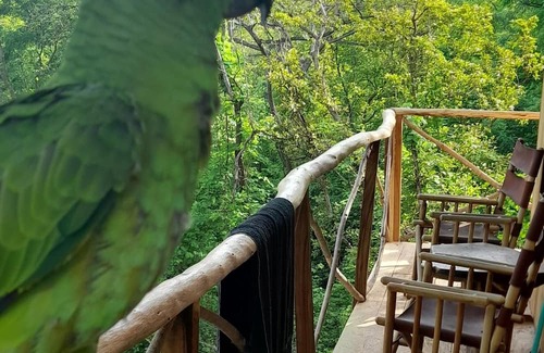 Rio Seco Cabina | Rustic Costa Rica experience. wooden house in the trees.