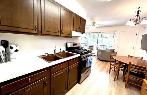 Flat Rock Condominio | Mill House Retreat~$375 Free Activities Daily