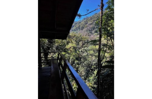 Cerro Punta Apartamento | Unique eco-cabin inside cloudforest “PILA”