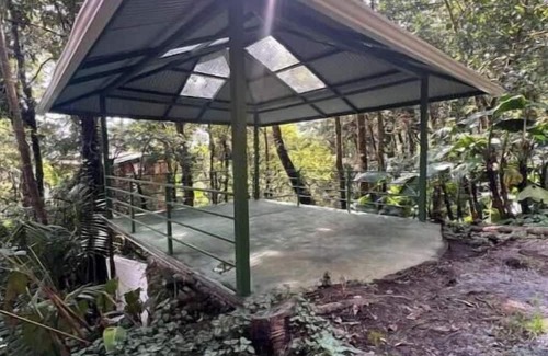 Cerro Punta Apartamento | Unique eco-cabin inside cloudforest “PILA”