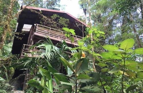 Cerro Punta Apartamento | Unique eco-cabin inside cloudforest “PILA”