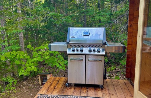 Dingwall Cabina | Big Leo’s River View Cabin