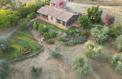 Sorano Casa | Among olive trees and silence: farmhouse with pool and olive grove in the Etruscan Maremma