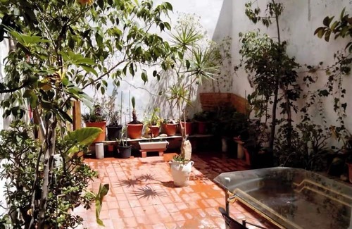 Campoamor Apartamento | Ground floor with patio next to the Auditorium (ADDA)