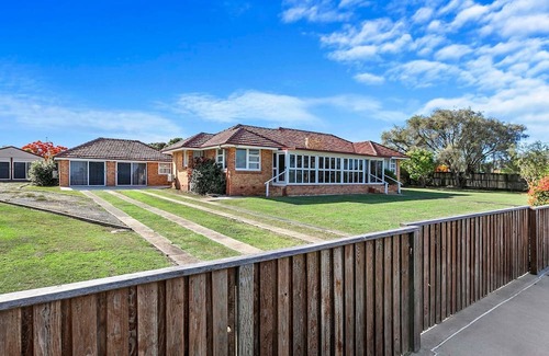Point Vernon Casa | Kangaroos at the point