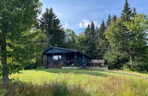 Erbs Cove Cabina | Forest cottage on the lake ☀️