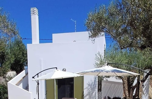Skiros Villa | OLIVE GROVE VILLA SKYROS ISLAND