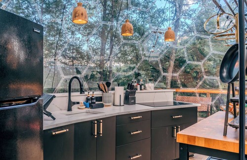 Mars Hill Cabina | 1 of a Kind! Largest Luxurious TRANSPARENT DOME in USA