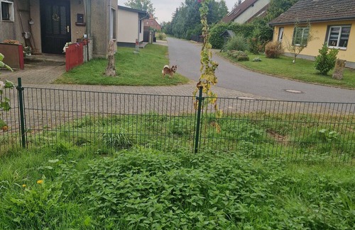 Siedenbollentin Casa | Cozy vacation home in Mecklenburg-Vorpommern with a large garden
