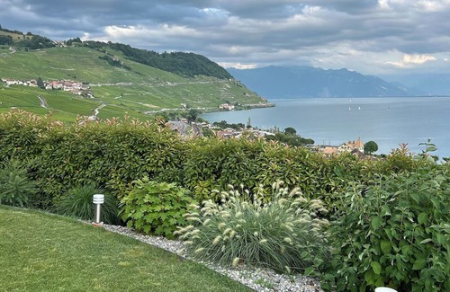 Cully Apartamento | Superb apartment in Cully with lake view.