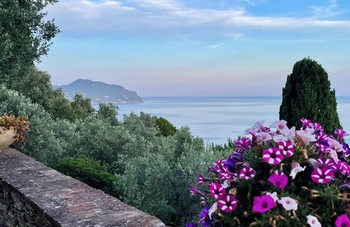 Sant'Ilario Cabina | Sea view cottage among olive trees
