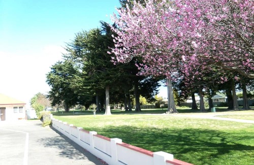 Napier Hotel | The Napier Nest Motel Experience