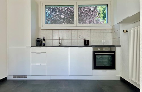 Uetliberg Casa | Atrium-Haus 15 minutes from Zurich, 40 minutes to Luzen 55 minutes to Pilatus