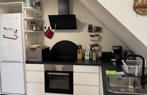 Odense Casa | Large Odense Home w/Rooftop Terrace, 2 Kitchens & Free Parking