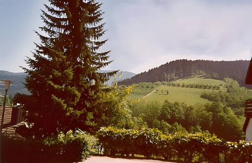Bad Peterstal-Griesbach Apartamento | Holiday Apartment 'Matteit' with Balcony
