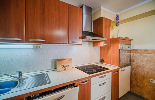 Trnovska Apartamento | Comfortable Apartment with Terrace at Siva Čaplja