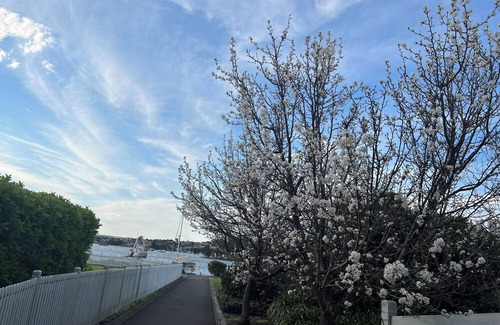 Mortlake Apartamento | Soothing 2-bedroom apartment with great view in Mortlake