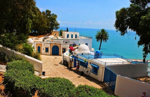 Amilcar Cama Y Desayuno | The house of ruins
