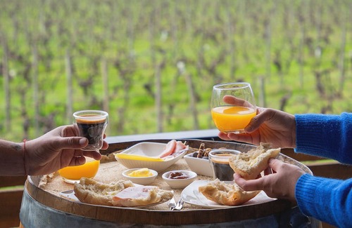 Santa Cruz Cabina | Apalta Lofts, enjoy the vineyards in front of the vineyards
