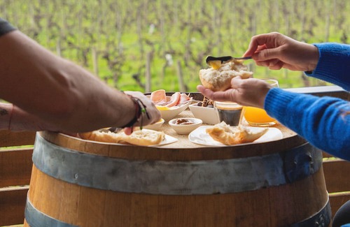 Santa Cruz Cabina | Apalta Lofts, enjoy the vineyards in front of the vineyards