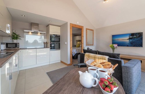 Netley Cabina | Detached Lodge with Hot Tub
