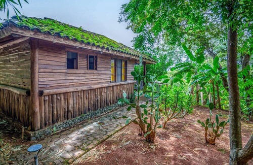 Canafistula Hotel | Private Triple Bungalow with Nature View