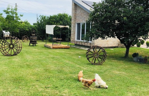 Musestre Cabaña | Modern cottage surrounded by nature