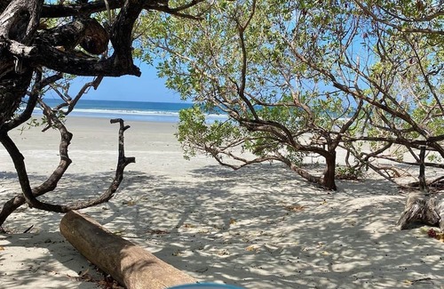 Playa El Coco Apartamento | Private Beachfront Studio; Balcony; kitchen
