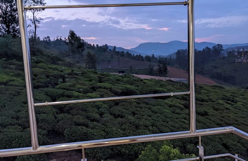 Ooty Cabaña | Beautiful 7 Separate bedroom cottage and container wood house in Ooty