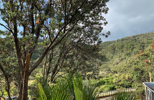 Piha Casa | "Ruruwai" Perfect Piha Beach getaway