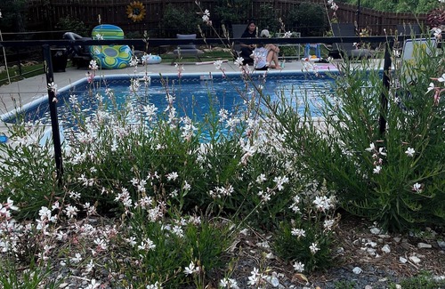 Garner Apartamento | The Oasis! Close to downtown Raleigh & Coastal Credit Union at Walnut Creek
