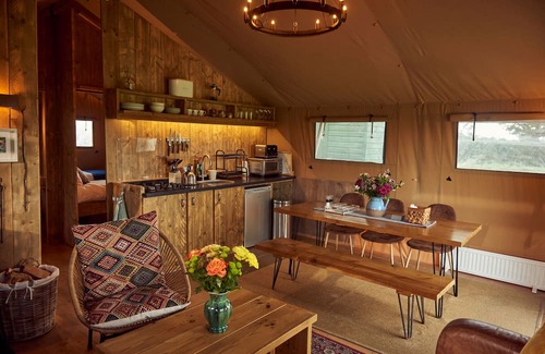 Glastonbury Cabina | Pippin, set in a peaceful orchard just ten minutes from Glastonbury