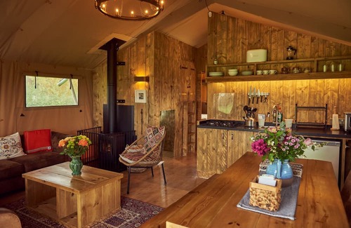 Glastonbury Cabina | Pippin, set in a peaceful orchard just ten minutes from Glastonbury