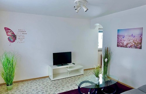 Paka Apartamento | Apartment River - In the heart of nature. Pet-friendly!