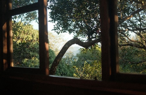 Sakleshpur Cabina | Treedom Treehouse Eco-Restoration getaway in the Jungles of South India