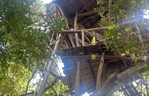 Sakleshpur Cabina | Treedom Treehouse Eco-Restoration getaway in the Jungles of South India