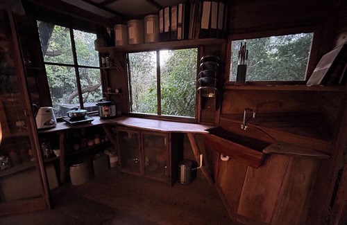Sakleshpur Cabina | Treedom Treehouse Eco-Restoration getaway in the Jungles of South India