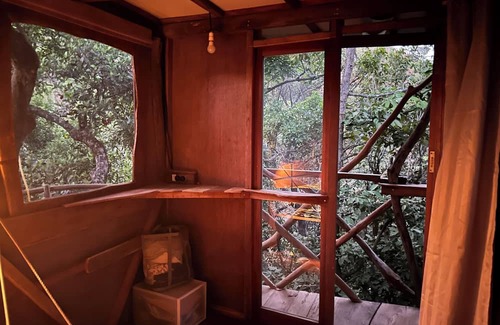 Sakleshpur Cabina | Treedom Treehouse Eco-Restoration getaway in the Jungles of South India