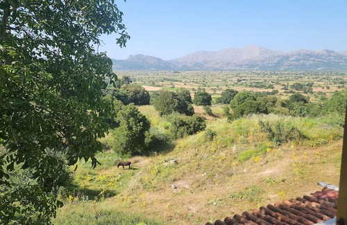 Magoulas Apartamento | Dionysus House Lasithi Plateau