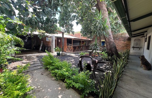 Santa Ana Casa | Casa Aguacate (una aventura bajo el arbol)