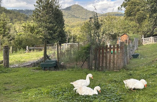 Wollombi Otro | Wollombi Country House set in a private 4 acre garden estate with rural views.