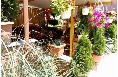 Pestani Apartamento | Lile Pestani One-Bedroom Suite with Balcony